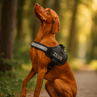 Dogshood Slip-On Harness