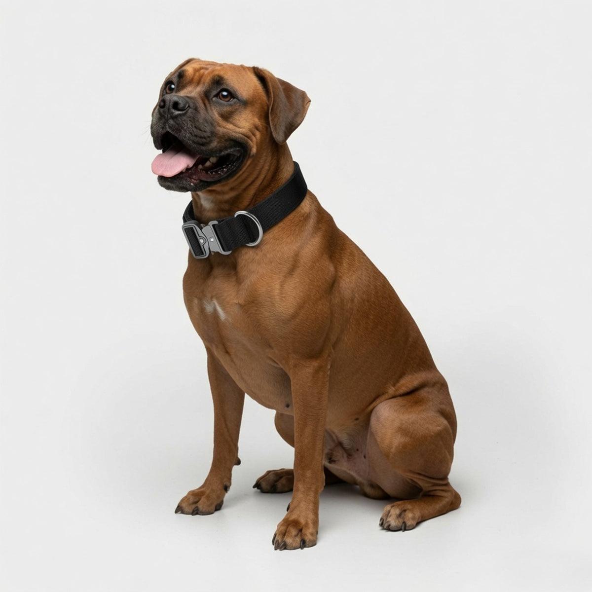 Tactical Dog Collar