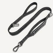 Bungee Leash