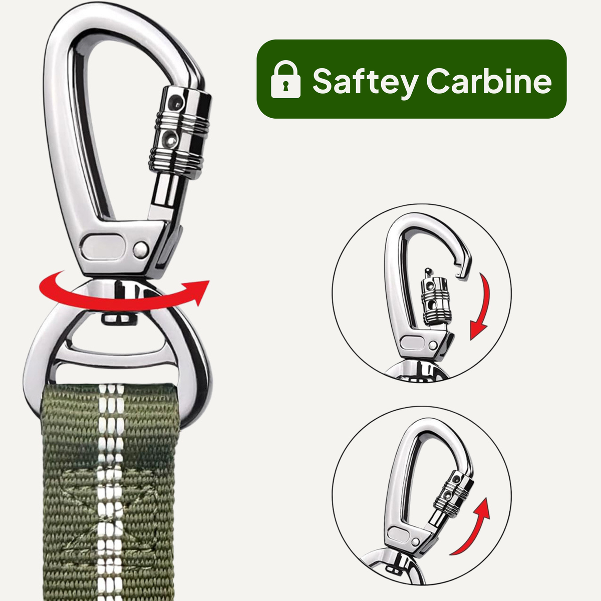 Bungee Leash