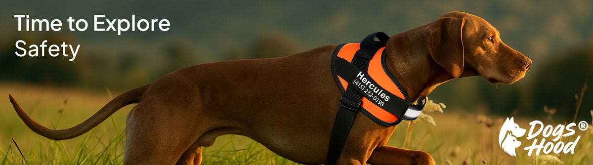 dh-pdp-banner-explore
