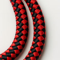 Double Leash — Walk Two Dogs, One Leash