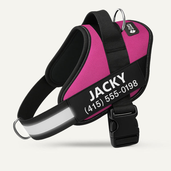 Dogshood ™ No Pull Harness