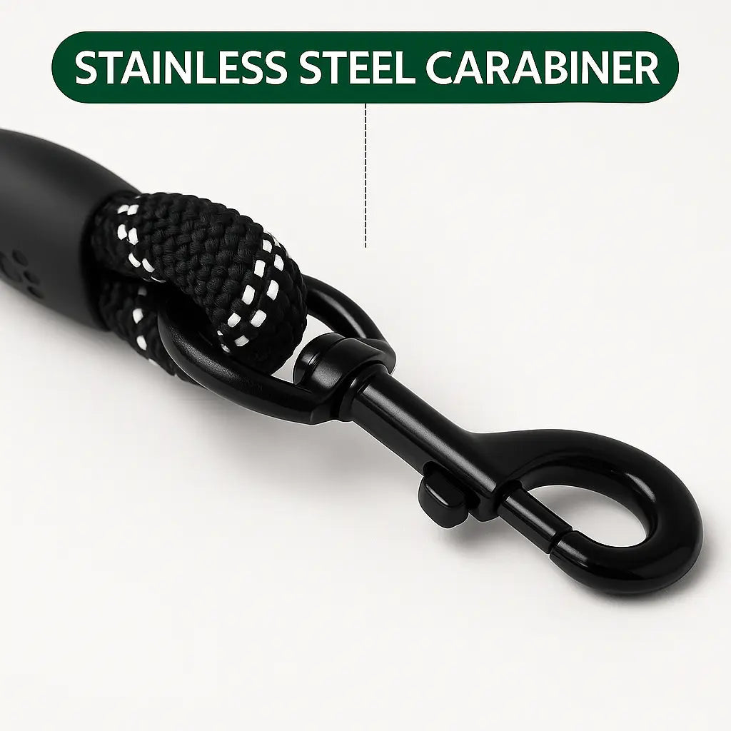 Reflective Nylon Leash