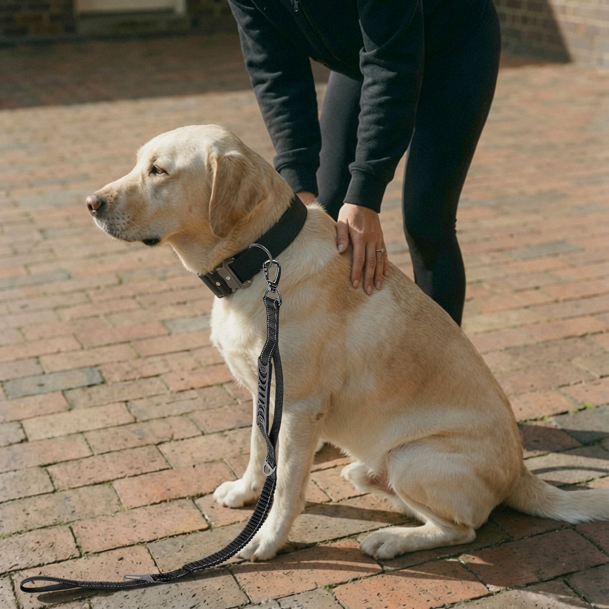 Tactical Dog Collar